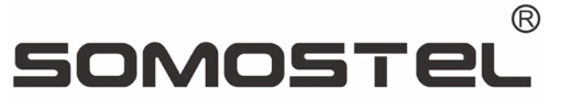 Somostel